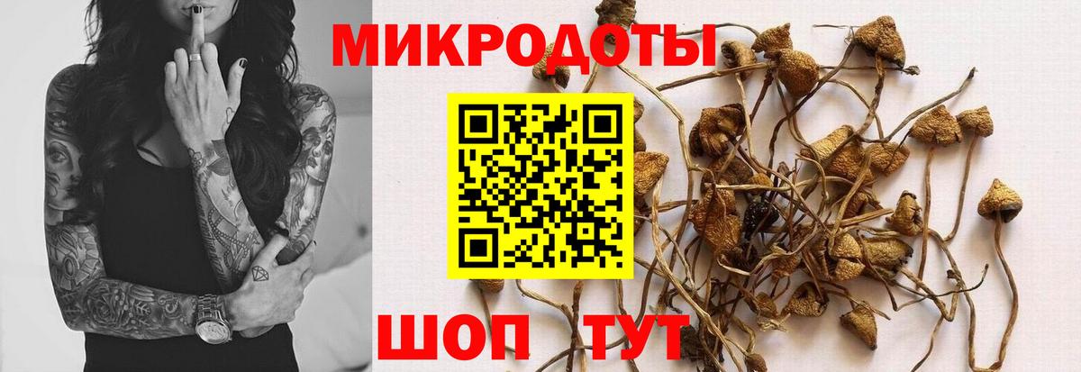 Псилоцибиновые грибы прущие грибы  Псилоцибиновые грибы Psilocybe  Вход с VPN  Старая Купавна 